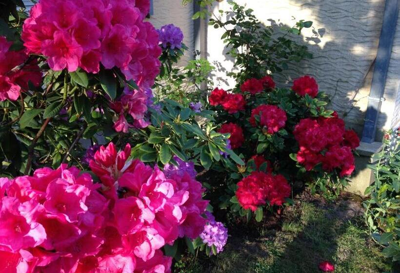 Bed and Breakfast Nature Et Plage