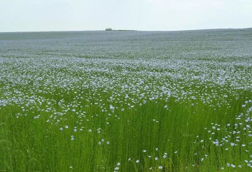 Aamiaismajoitus (B&B) Nature Et Plage