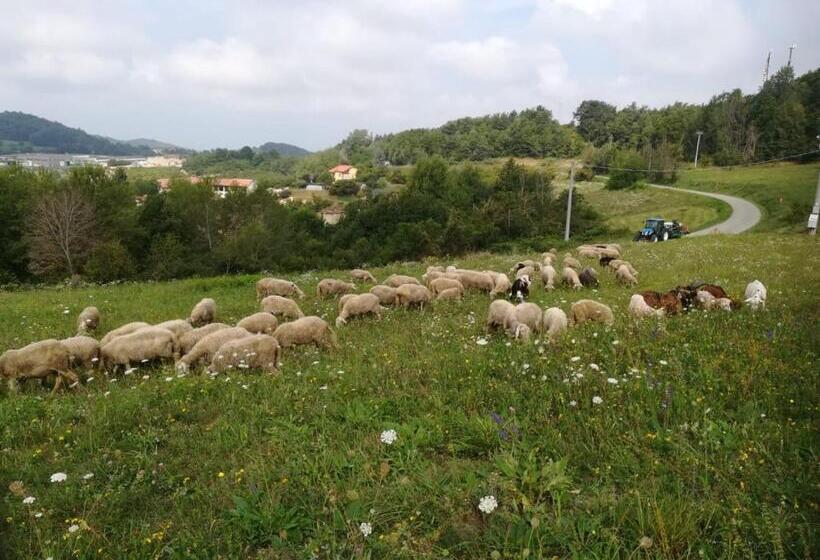 Отель Agriturismo La Cascina