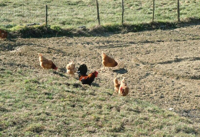 Отель Agriturismo La Cascina