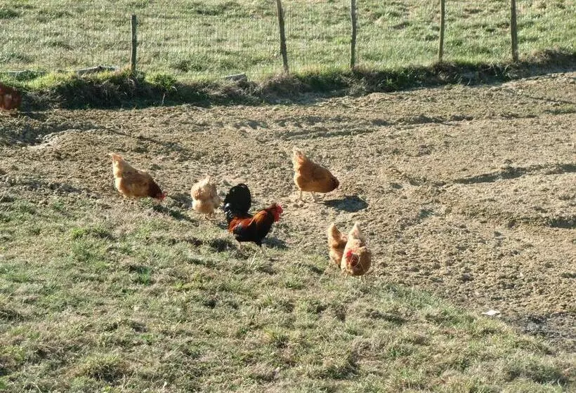 ホテル Agriturismo La Cascina