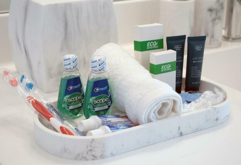 Luxury Furnished Apartments By Hyatus Downtown At Yale