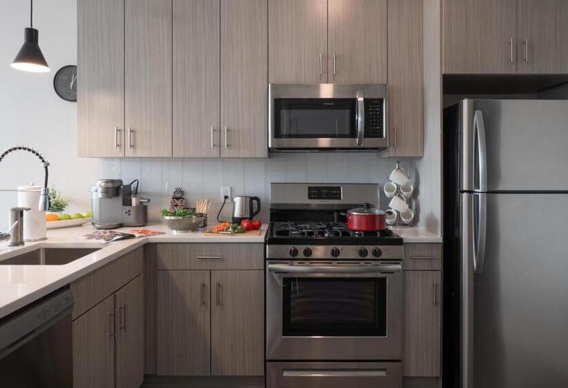 Luxury Furnished Apartments By Hyatus Downtown At Yale