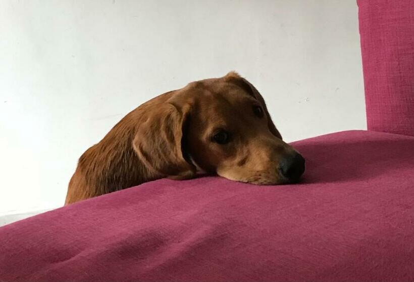 پانسیون A Casa Di Asia