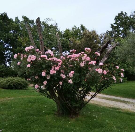 پانسیون A Casa Di Asia