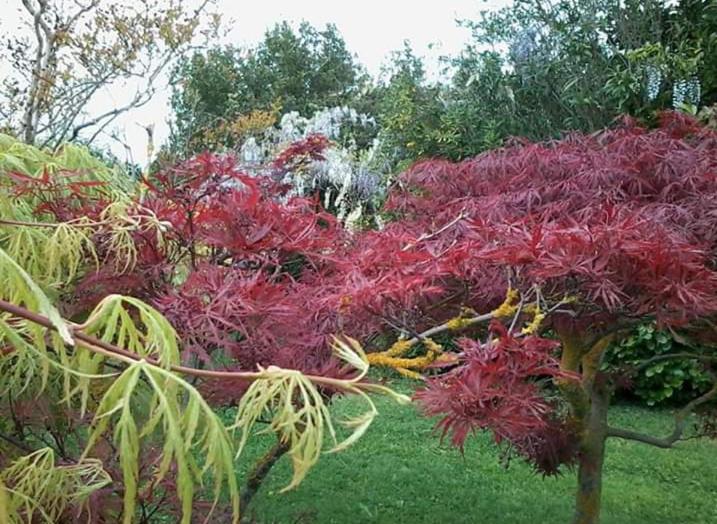 پانسیون A Casa Di Asia