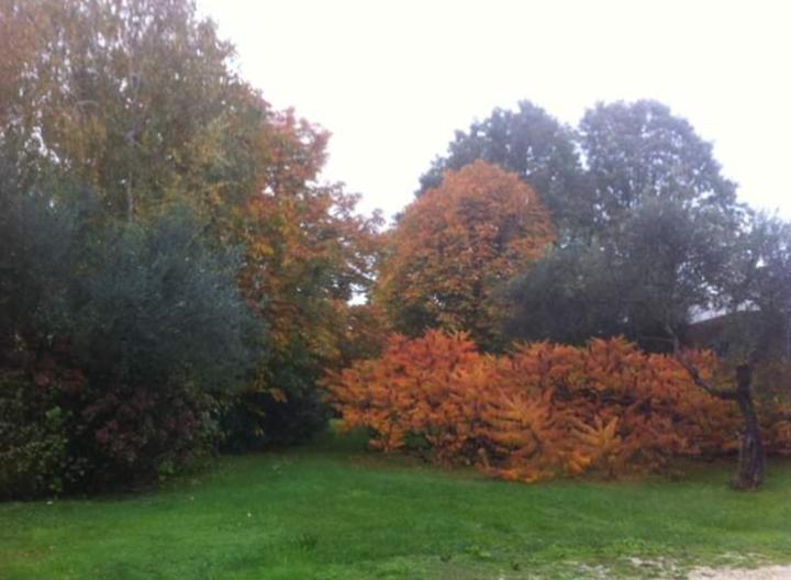 پانسیون A Casa Di Asia