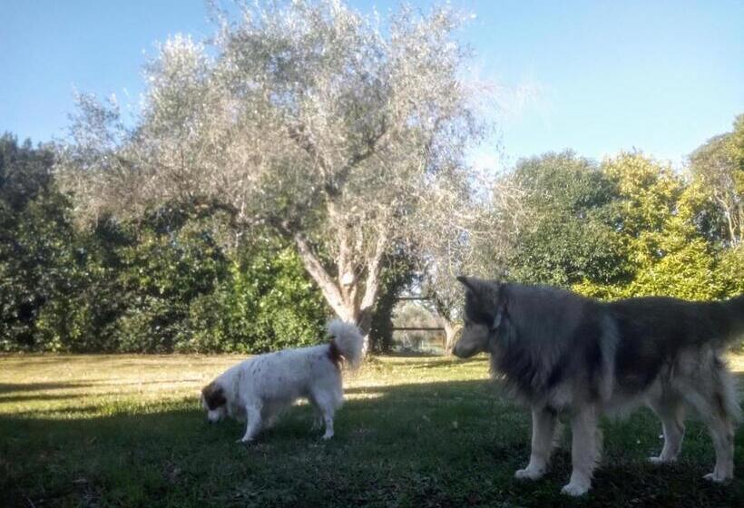 پانسیون A Casa Di Asia