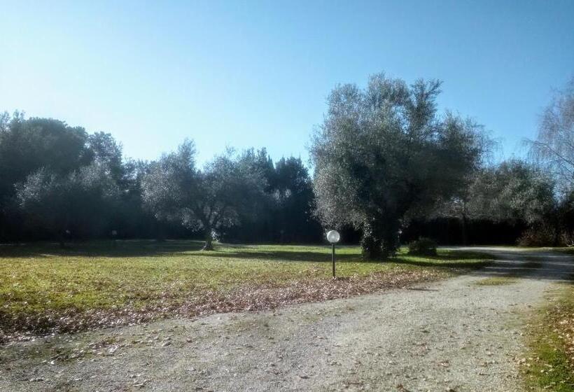 پانسیون A Casa Di Asia