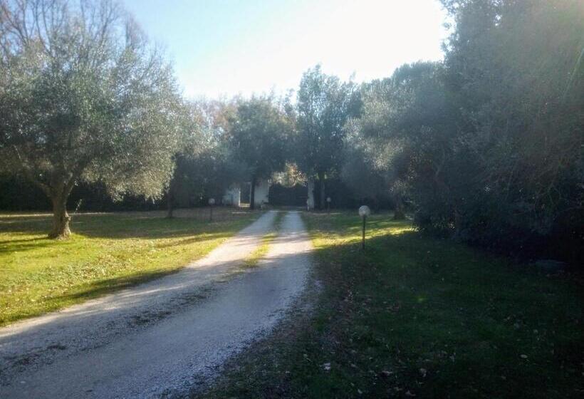 پانسیون A Casa Di Asia