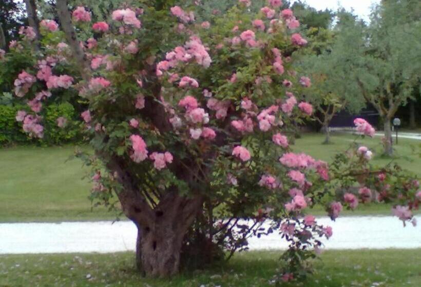 پانسیون A Casa Di Asia