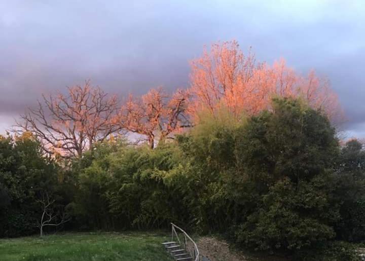 پانسیون A Casa Di Asia