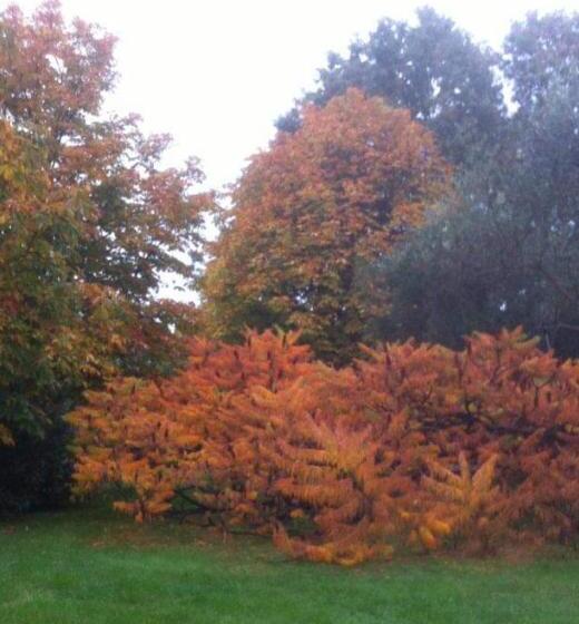 پانسیون A Casa Di Asia