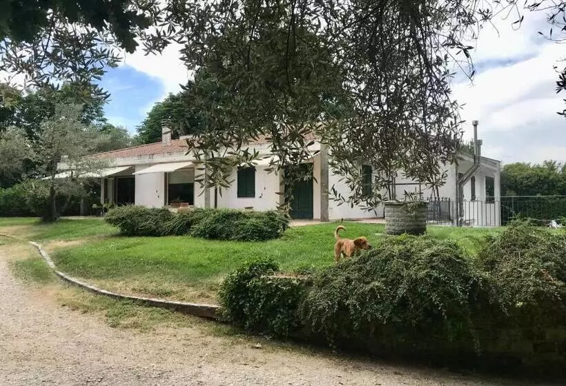 پانسیون A Casa Di Asia