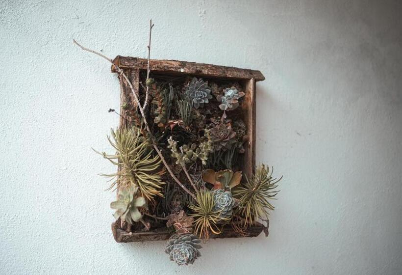 پانسیون A Casa Di Asia