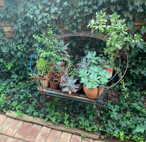 פנסיון B S At Strauss