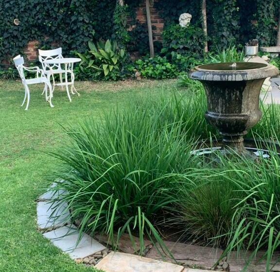 פנסיון B S At Strauss