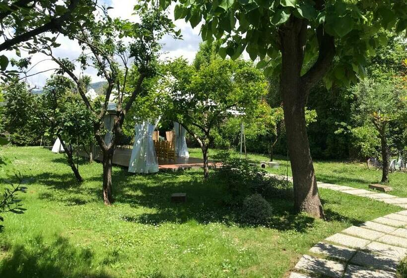 ペンション Casa Le Franche