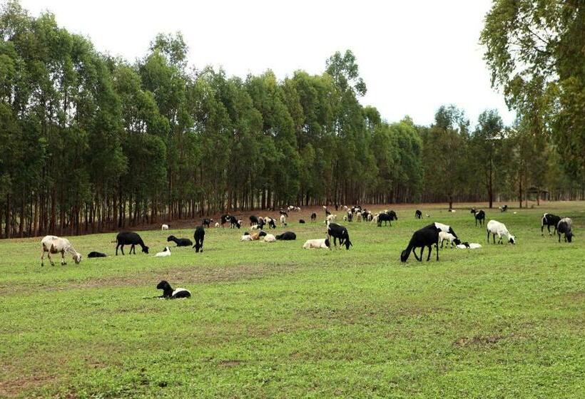 پانسیون Estancia Jacy