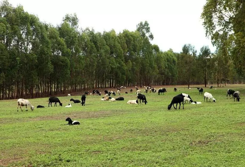 Majatalo Estancia Jacy