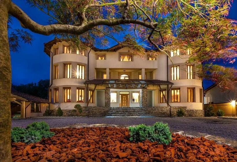 پانسیون Transilvania Mansion