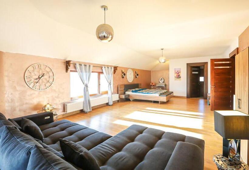 پانسیون Transilvania Mansion