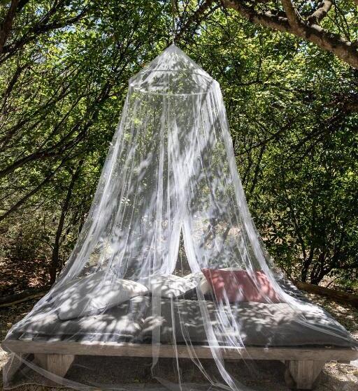 Bed and Breakfast Altanure Casa Terra   Ecological Boutique Stay