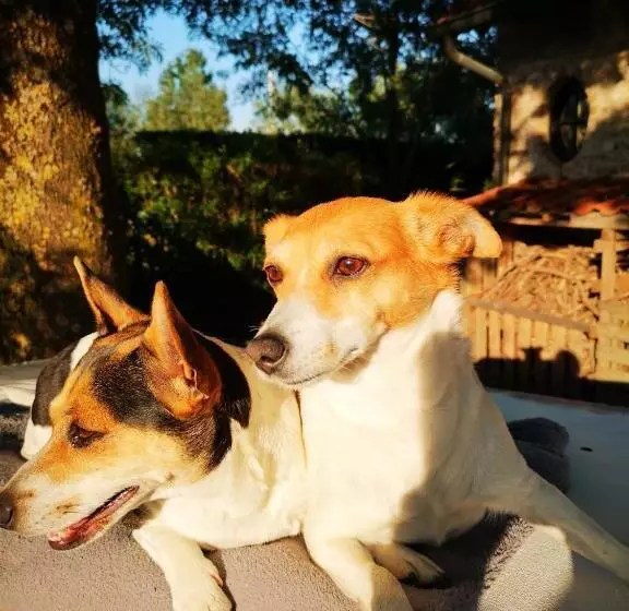 Aamiaismajoitus (B&B) Casa Leone Near Bruges With Jacuzzi & Parking