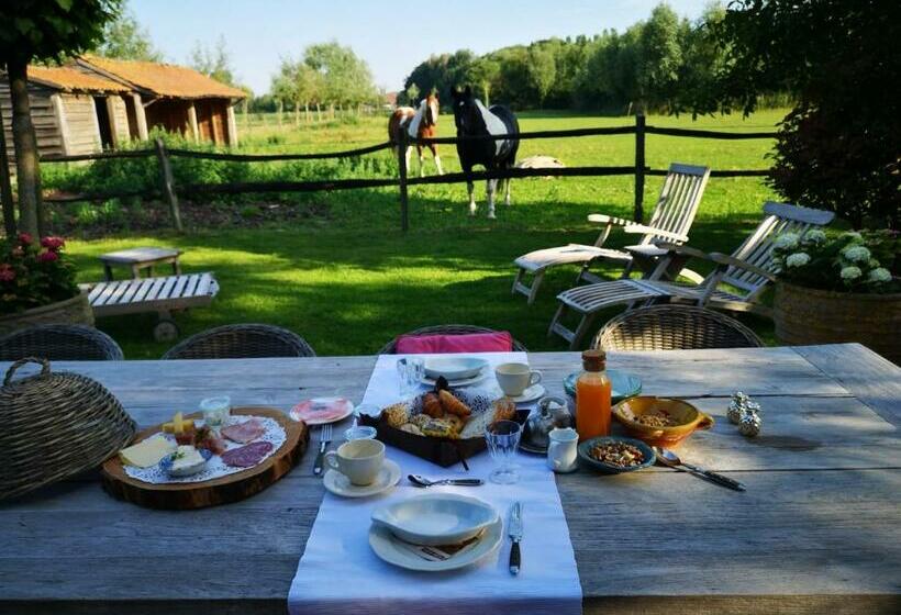 ベッドアンドブレックファースト Casa Leone Near Bruges With Jacuzzi & Parking