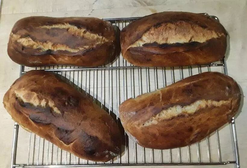 Aamiaismajoitus (B&B) La Ferme Du Bonheur