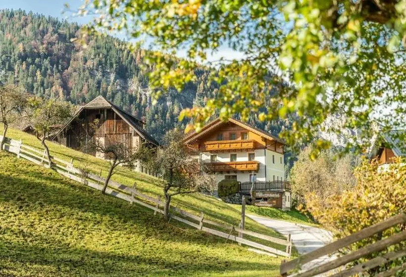 تختخواب و صبحانه Mittergruberhof