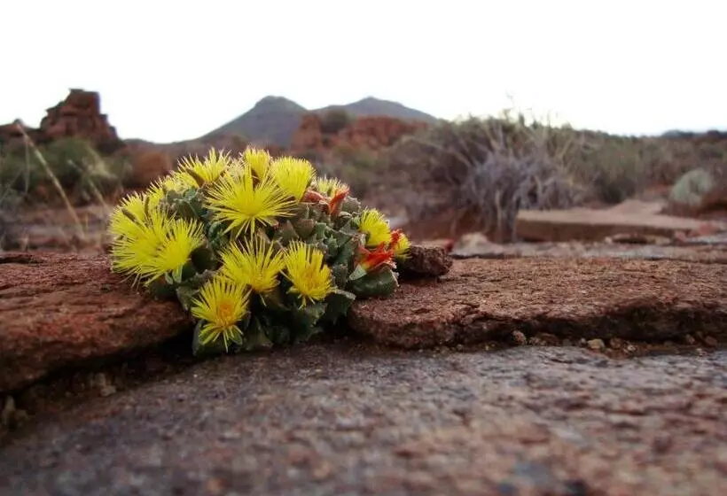 Majatalo Carlton Heights Guesthouse