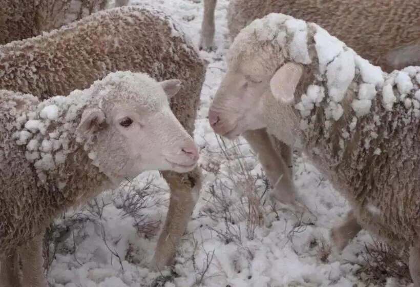 Majatalo Carlton Heights Guesthouse