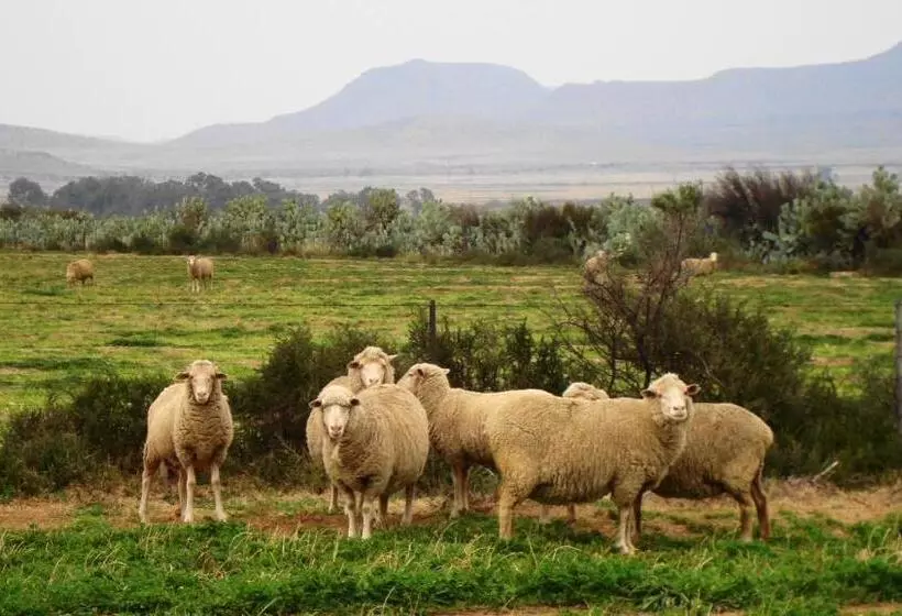 Majatalo Carlton Heights Guesthouse