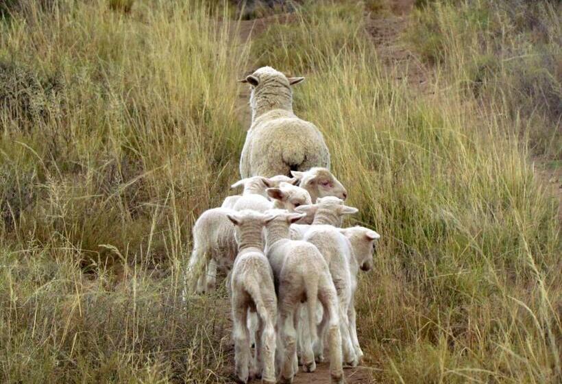 Пансион Carlton Heights Guesthouse