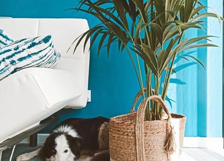 پانسیون Glass Cube