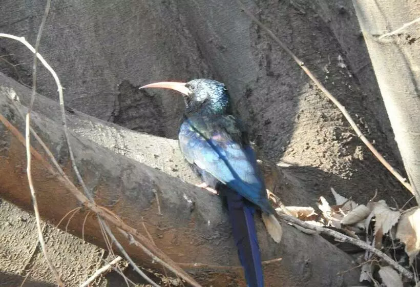 ペンション Wooden Creek Estate