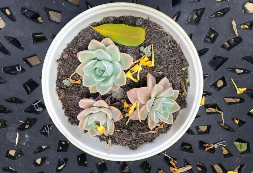 تختخواب و صبحانه Cul De Sac Accommodation