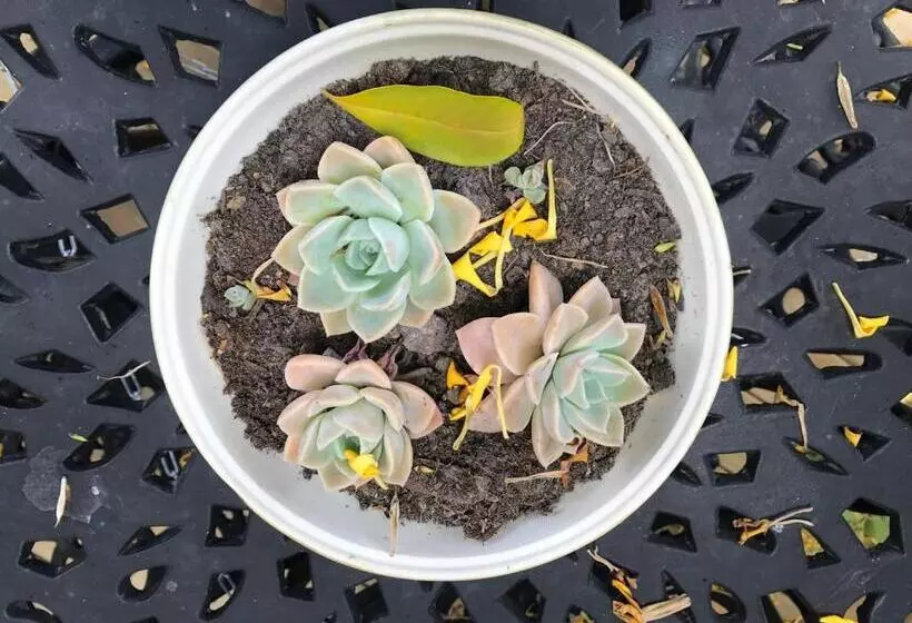 ベッドアンドブレックファースト Cul De Sac   Accommodation