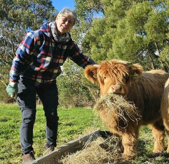 Eagle Rock Retreat B&b, Fish Creek