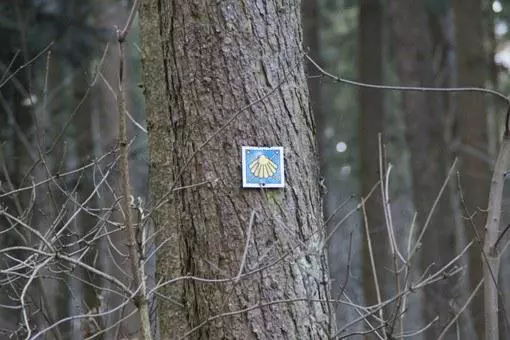 Hotelli Schweizer Hof