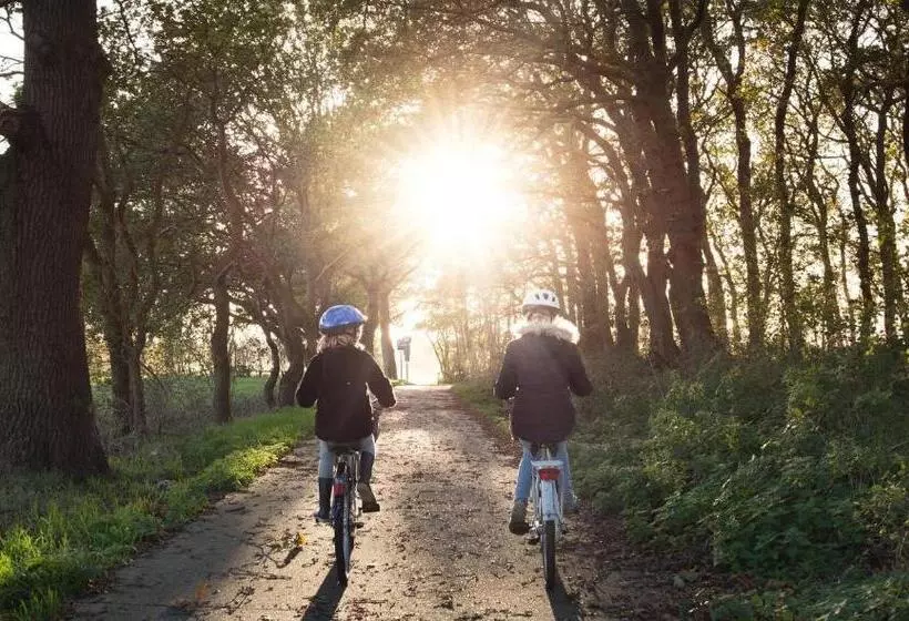 Hotelli Schweizer Hof