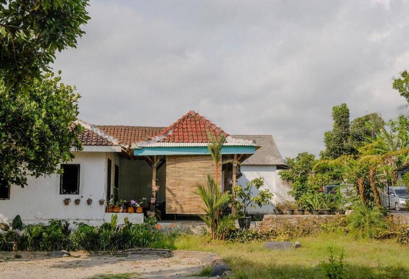 Hotelli Spot On 1847 Maya