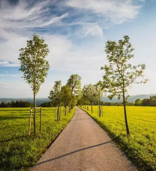 Hotelli Turnovská Chata