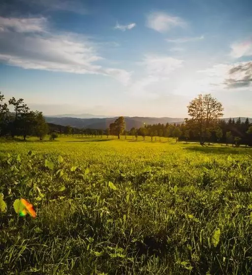 Hotelli Turnovská Chata