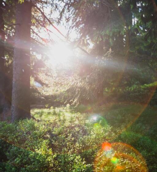 ホテル Turnovská Chata