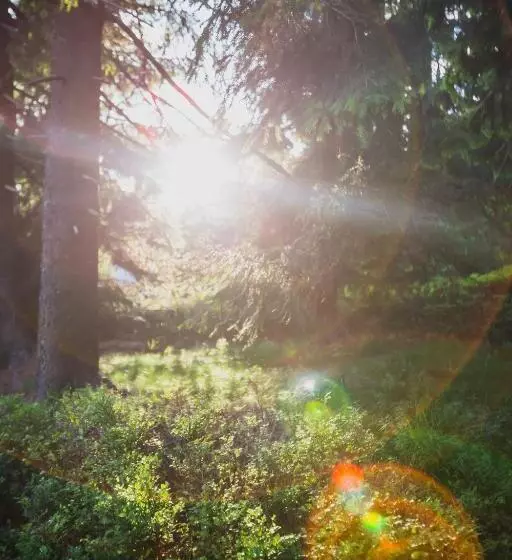 Hotelli Turnovská Chata