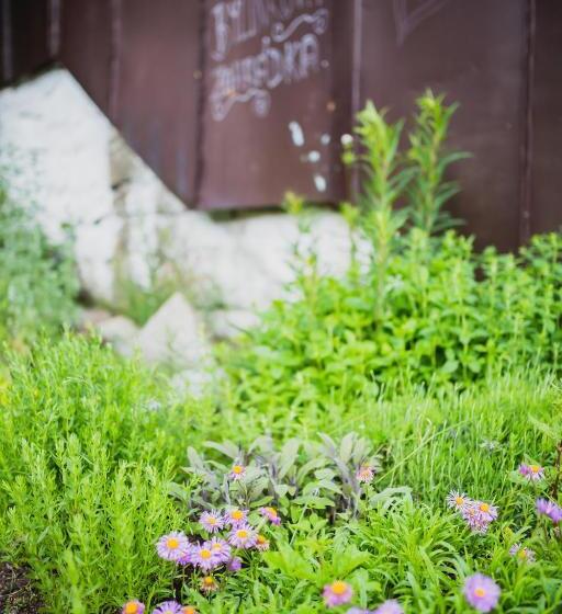 ホテル Turnovská Chata