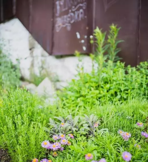 Hotelli Turnovská Chata