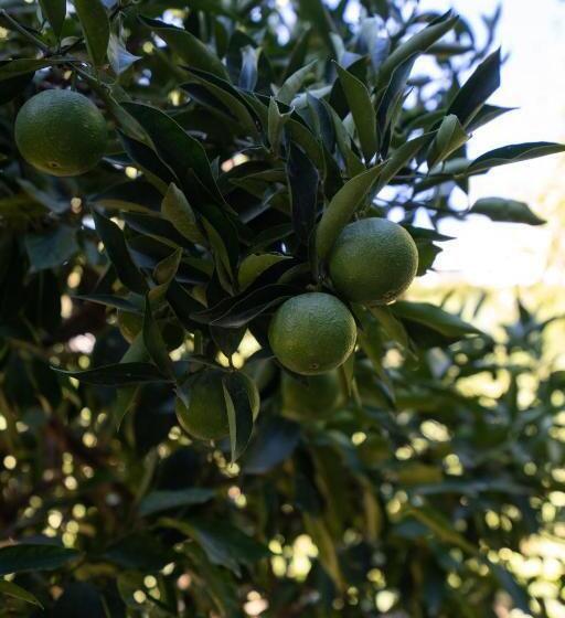 پانسیون A Natural Retreat